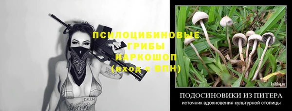 сатива Ладушкин